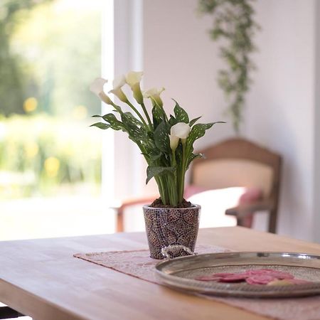 Ferienwohnung Schwalbennest Weinsheim  Екстер'єр фото