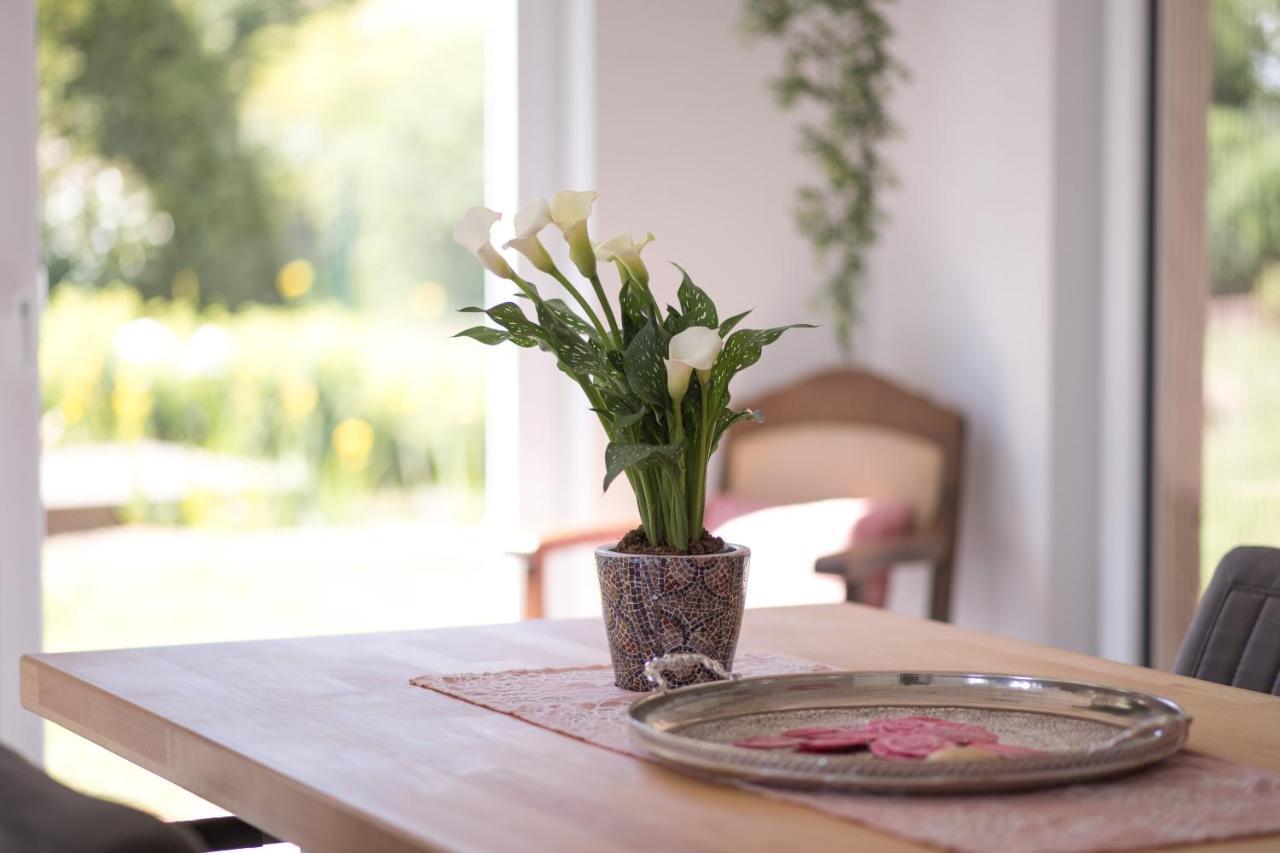 Ferienwohnung Schwalbennest Weinsheim  Екстер'єр фото