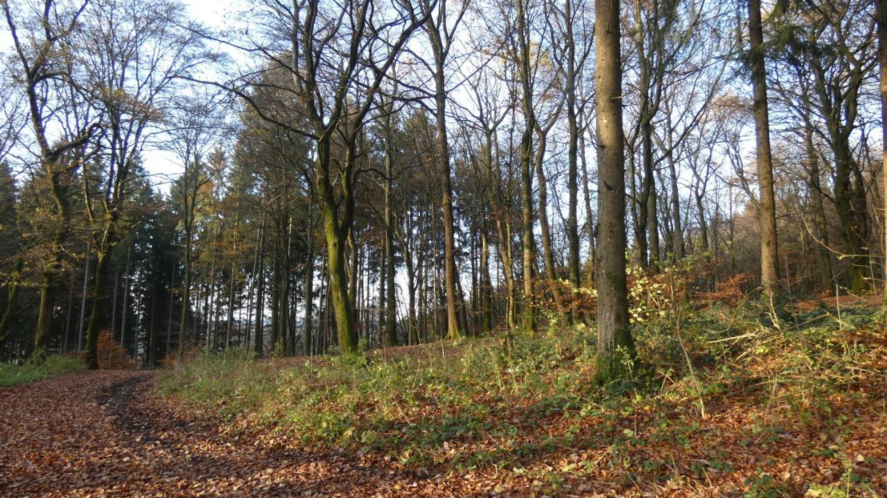 Ferienwohnung Schwalbennest Weinsheim  Екстер'єр фото