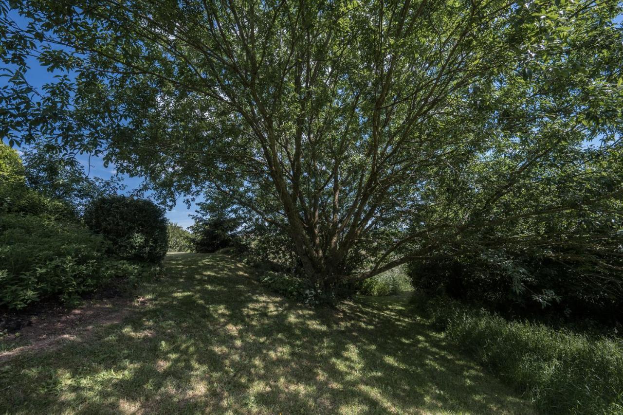 Ferienwohnung Schwalbennest Weinsheim  Екстер'єр фото